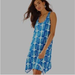 Lilly Pulitzer blue cotton dress (EUC)